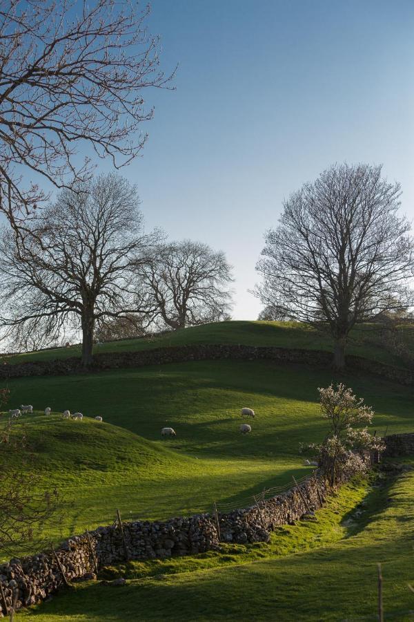 Hotel Falls & Restaurant Aysgarth